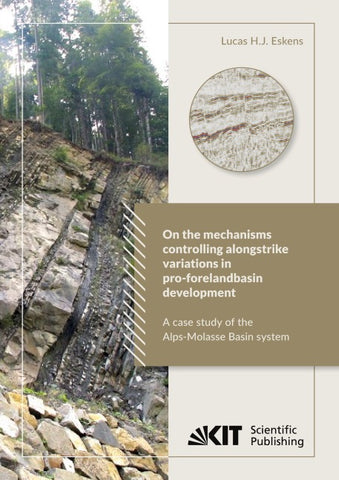 On the mechanisms controlling along-strike variations in pro-foreland basin development: a case study of the Alps-Molasse Basin system