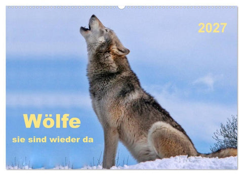 Wölfe - sie sind wieder da (Wandkalender 2027 DIN A2 quer), CALVENDO Monatskalender