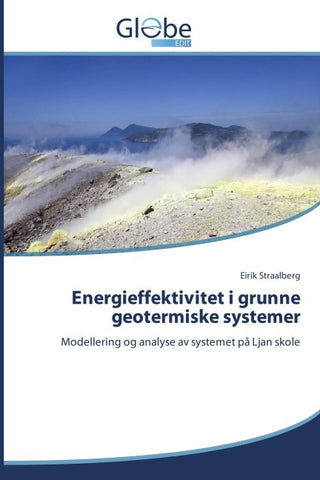 Energieffektivitet i grunne geotermiske systemer