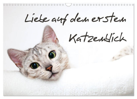 Liebe auf den ersten Katzenblick (Wandkalender 2027 DIN A3 quer), CALVENDO Monatskalender