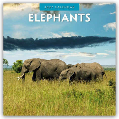 Elephants – Elefanten 2027 – 16-Monatskalender