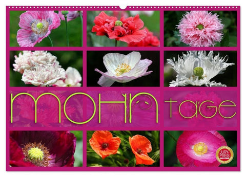 Mohn Tage (Wandkalender 2026 DIN A2 quer), CALVENDO Monatskalender