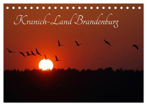 Kranich-Land Brandenburg (Tischkalender 2027 DIN A5 quer), CALVENDO Monatskalender