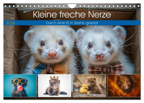 Kleine freche Nerze (Wandkalender 2026 DIN A4 quer), CALVENDO Monatskalender