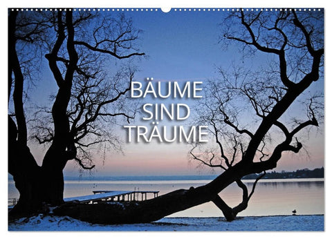 Bäume sind Träume (Wandkalender 2026 DIN A2 quer), CALVENDO Monatskalender