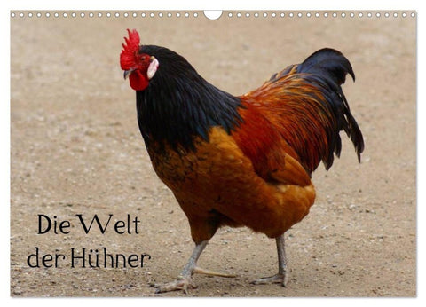 Die Welt der Hühner (Wandkalender 2027 DIN A3 quer), CALVENDO Monatskalender