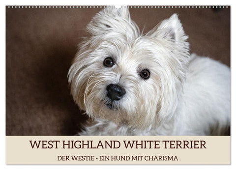 WEST HIGHLAND WHITE TERRIER - DER WESTIE - EIN HUND MIT CHARISMA (Wandkalender 2027 DIN A2 quer), CALVENDO Monatskalender