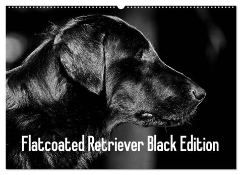 Flatcoated Retriever Black Edition (Wandkalender 2026 DIN A2 quer), CALVENDO Monatskalender