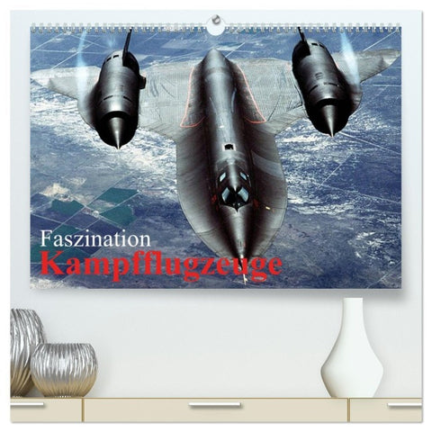 Faszination Kampfflugzeuge (hochwertiger Premium Wandkalender 2026 DIN A2 quer), Kunstdruck in Hochglanz