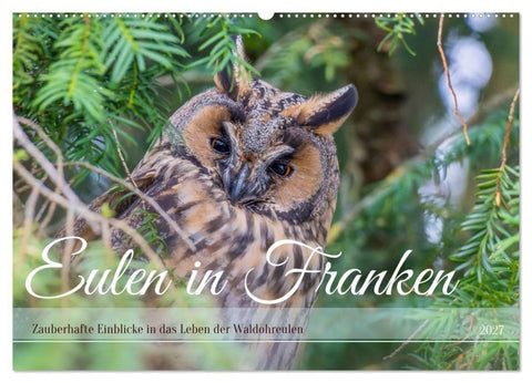 Eulen in Franken (Wandkalender 2027 DIN A2 quer), CALVENDO Monatskalender