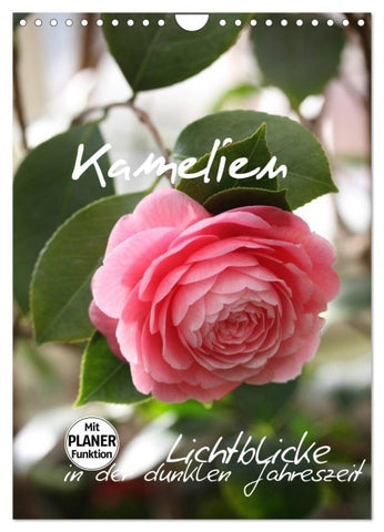 Kamelien Lichtblicke in der dunklen Jahreszeit (Wandkalender 2027 DIN A4 hoch), CALVENDO Monatskalender