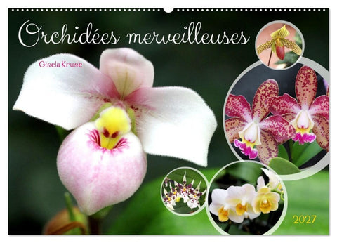 Orchidées merveilleuses (Calendrier mural 2027 DIN A2 vertical), CALVENDO calendrier mensuel