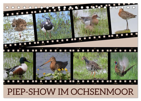 PIEP-SHOW im Ochsenmoor (Tischkalender 2027 DIN A5 quer), CALVENDO Monatskalender