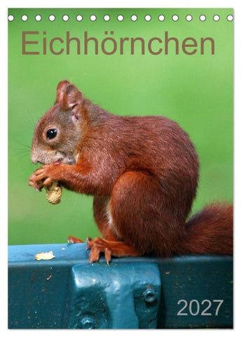 Eichhörnchen (Tischkalender 2027 DIN A5 hoch), CALVENDO Monatskalender