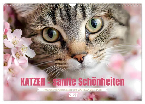 Katzen - sanfte Schönheiten (Wandkalender 2027 DIN A3 quer), CALVENDO Monatskalender