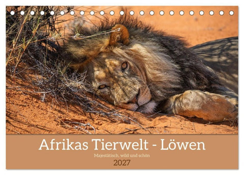Afrikas Tierwelt - Löwen (Tischkalender 2027 DIN A5 quer), CALVENDO Monatskalender