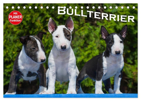 Bullterrier (Tischkalender 2026 DIN A5 quer), CALVENDO Monatskalender