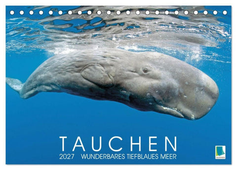 Tauchen: Wunderbares tiefblaues Meer (Tischkalender 2027 DIN A5 quer), CALVENDO Monatskalender