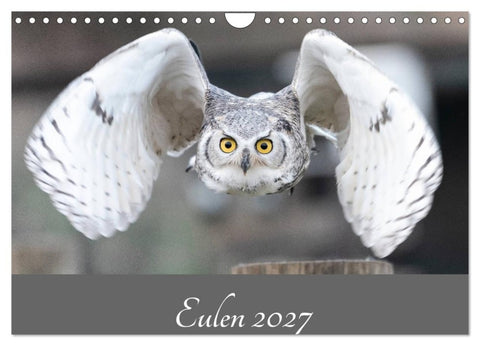 Eulen 2027 (Wandkalender 2027 DIN A4 quer), CALVENDO Monatskalender