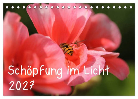Schöpfung im Licht (Tischkalender 2027 DIN A5 quer), CALVENDO Monatskalender
