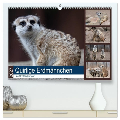 Quirlige Erdmännchen (hochwertiger Premium Wandkalender 2027 DIN A2 quer), Kunstdruck in Hochglanz