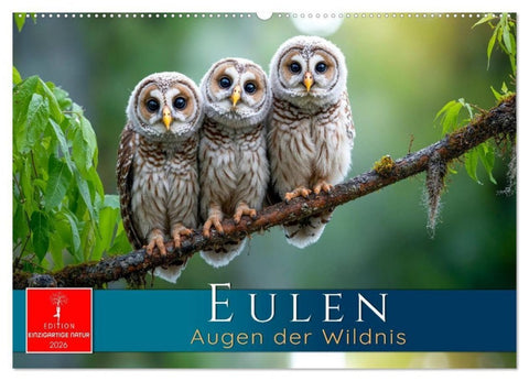 Eulen - Augen der Wildnis (Wandkalender 2026 DIN A2 quer), CALVENDO Monatskalender