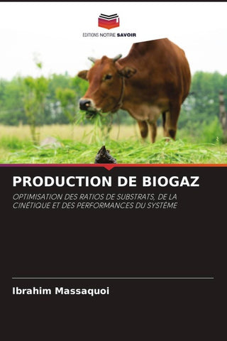 PRODUCTION DE BIOGAZ