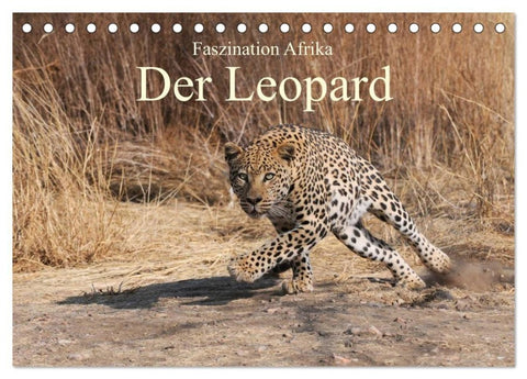 Faszination Afrika: Der Leopard (Tischkalender 2027 DIN A5 quer), CALVENDO Monatskalender