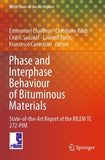Phase and Interphase Behaviour of Bituminous Materials