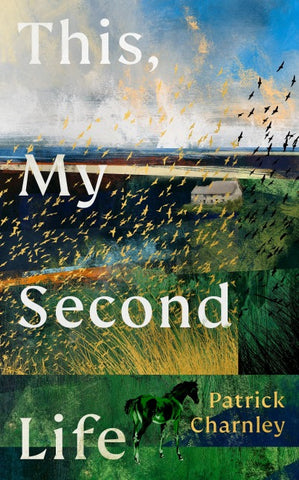 This, My Second Life