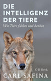 Die Intelligenz der Tiere