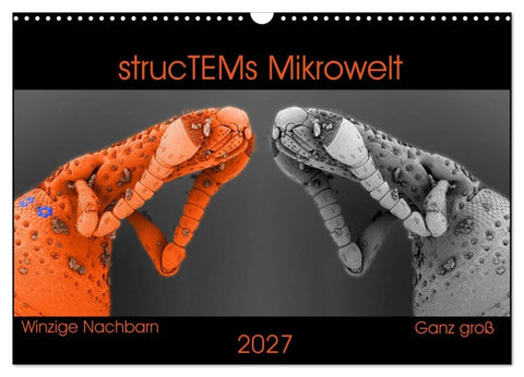 strucTEMs Mikrowelt - Winzige Nachbarn ganz groß (Wandkalender 2027 DIN A3 quer), CALVENDO Monatskalender