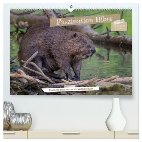 Faszination Biber (hochwertiger Premium Wandkalender 2027 DIN A2 quer), Kunstdruck in Hochglanz