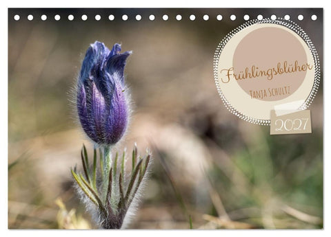 Frühlingsblüher - Farbenpracht nach dem Winter (Tischkalender 2027 DIN A5 quer), CALVENDO Monatskalender