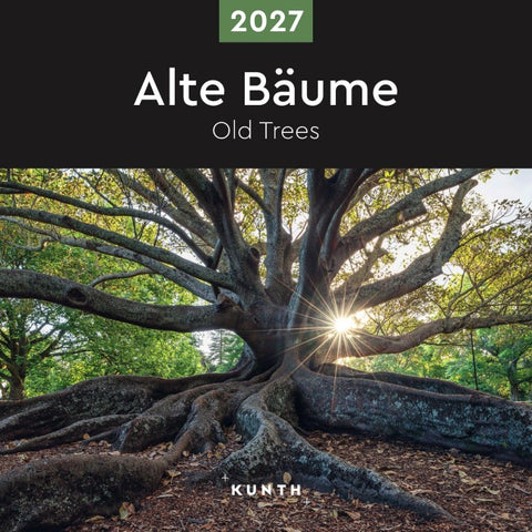 Alte Bäume - KUNTH Broschurkalender 2027