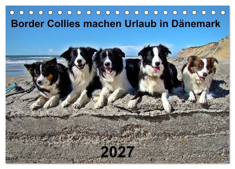 Border Collies machen Urlaub in Dänemark (Tischkalender 2027 DIN A5 quer), CALVENDO Monatskalender