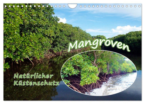 Mangroven - Natürlicher Küstenschutz (Wandkalender 2026 DIN A4 quer), CALVENDO Monatskalender