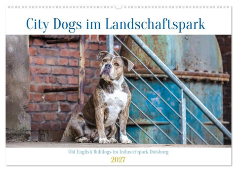City Dogs im Landschaftspark (Wandkalender 2027 DIN A2 quer), CALVENDO Monatskalender