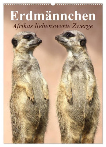 Erdmännchen - Afrikas liebenswerte Zwerge (Wandkalender 2026 DIN A2 hoch), CALVENDO Monatskalender