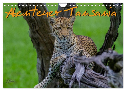 Abenteuer Tansania, Afrika (Wandkalender 2026 DIN A4 quer), CALVENDO Monatskalender