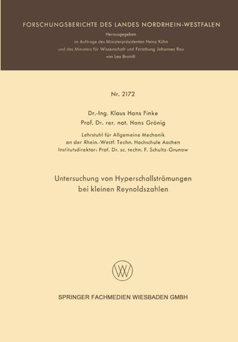 Untersuchung von Hyperschallströmungen bei kleinen Reynoldszahlen