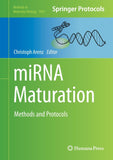 miRNA Maturation
