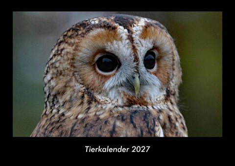 Tierkalender 2027 Fotokalender DIN A3