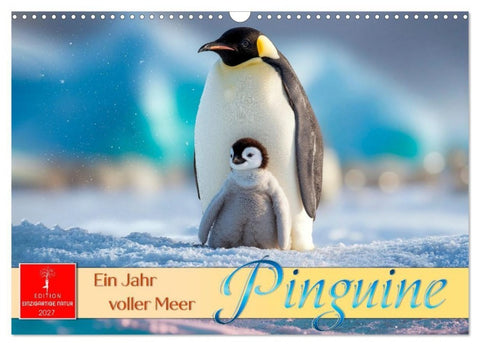 Pinguine - ein Jahr voller Meer (Wandkalender 2027 DIN A3 quer), CALVENDO Monatskalender