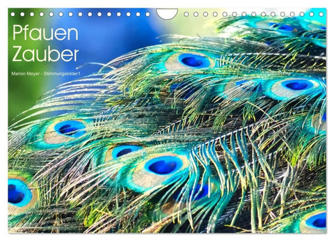 Pfauen Zauber (Wandkalender 2026 DIN A4 quer), CALVENDO Monatskalender