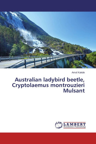 Australian ladybird beetle, Cryptolaemus montrouzieri Mulsant