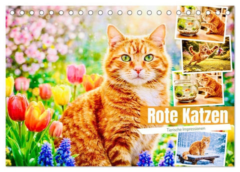 Rote Katzen (Tischkalender 2027 DIN A5 quer), CALVENDO Monatskalender