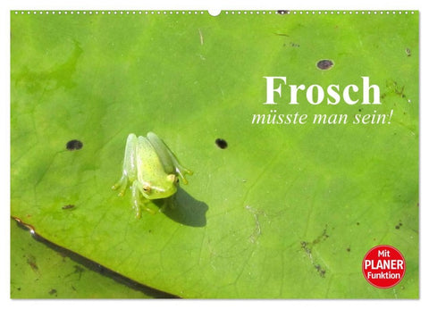 Frosch müsste man sein! (Wandkalender 2026 DIN A2 quer), CALVENDO Monatskalender