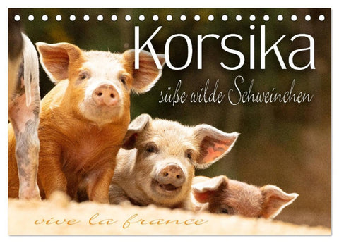 Korsika - süße, wilde Schweinchen (Tischkalender 2026 DIN A5 quer), CALVENDO Monatskalender