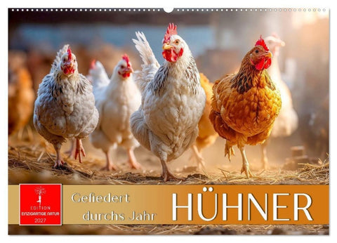 Hühner - gefiedert durchs Jahr (Wandkalender 2027 DIN A2 quer), CALVENDO Monatskalender